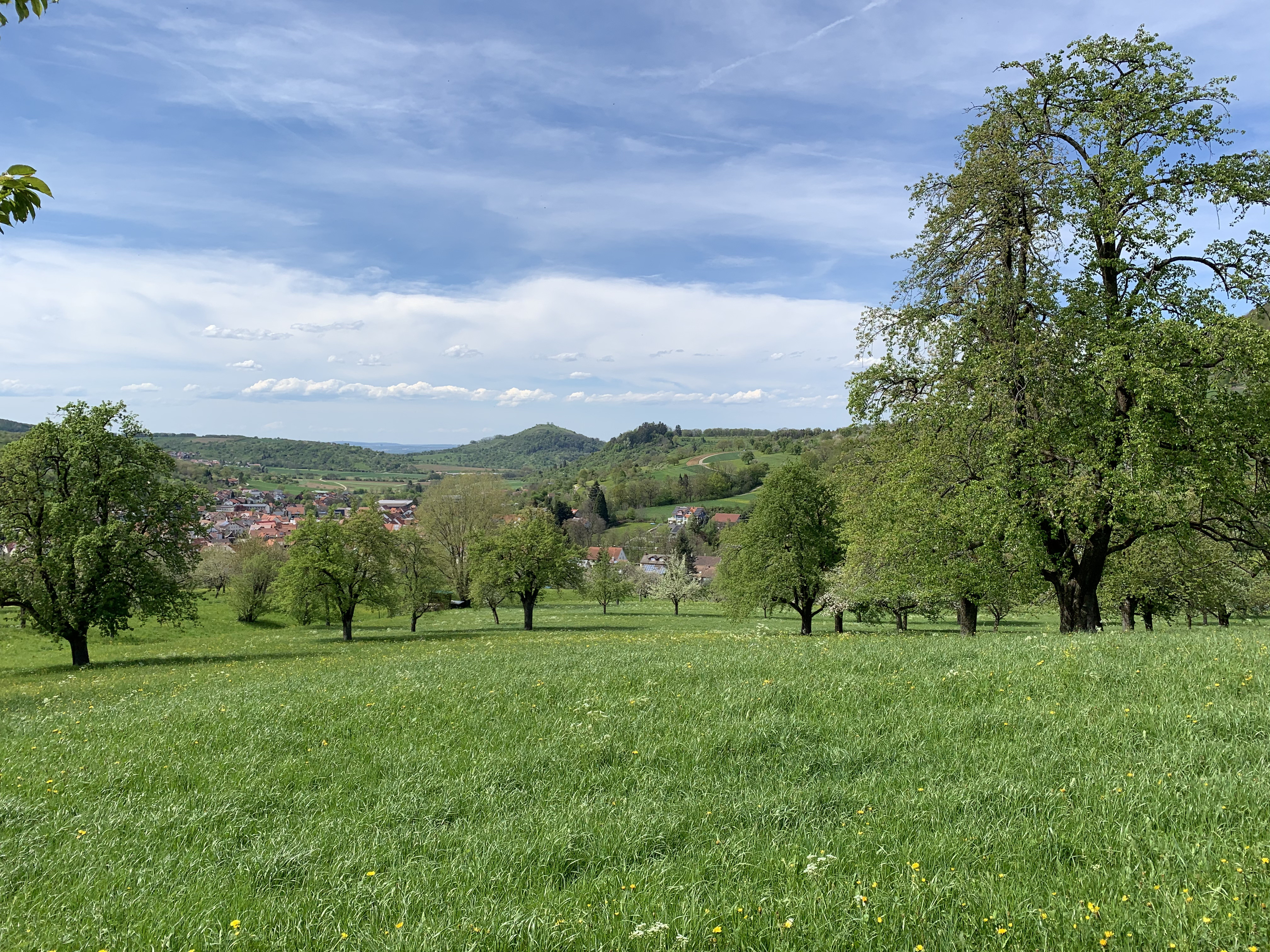 24-Stunden-Pflege und Betreuung im Landkreis Esslingen
